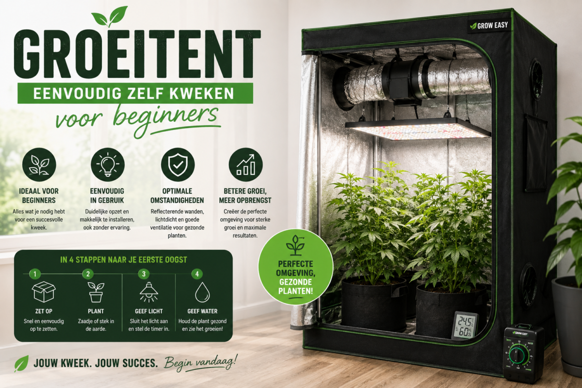 Groeitent kopen